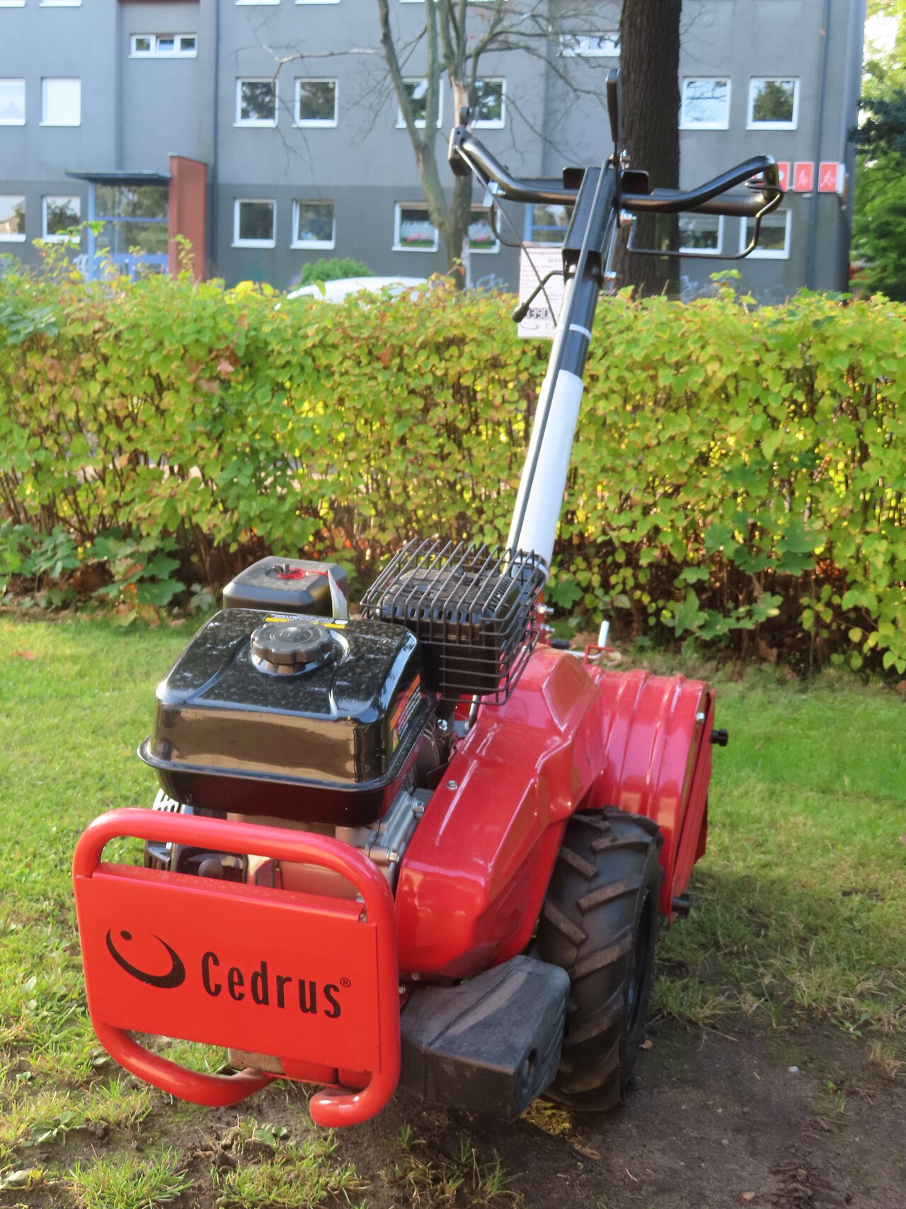 Cedrus GL03 Motorhacke neben einem Garten